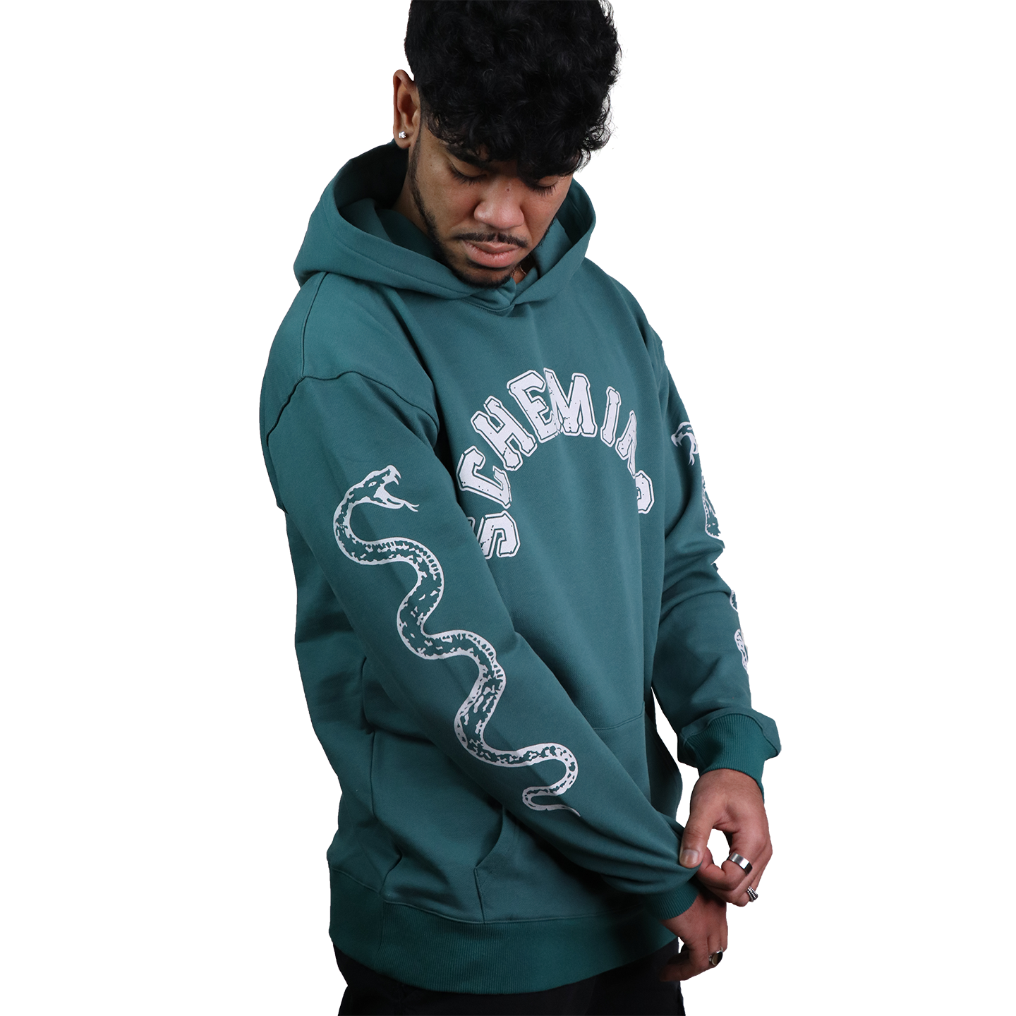 Serpent Hoodie - Scheming Co.