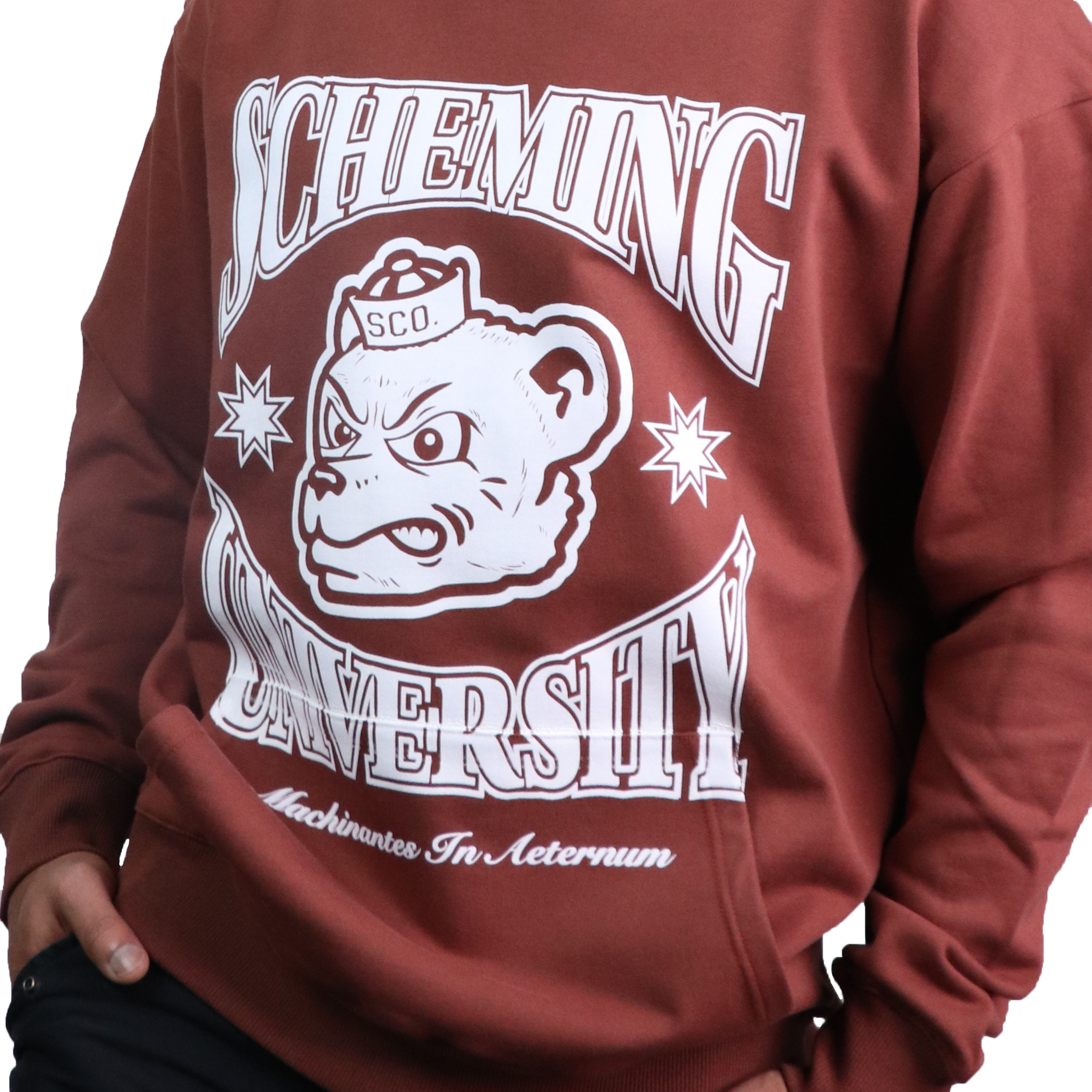 Scheming University Hoodie - Scheming Co.